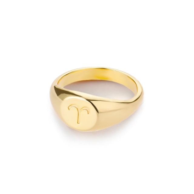 Sternzeichen Edelstahl-Ring in Gold und Silber
