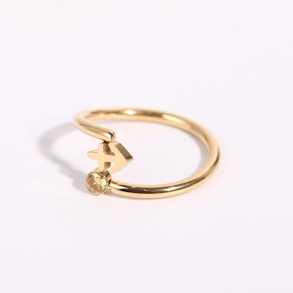 Ring ''Zodiac Love'' / Edelstahl