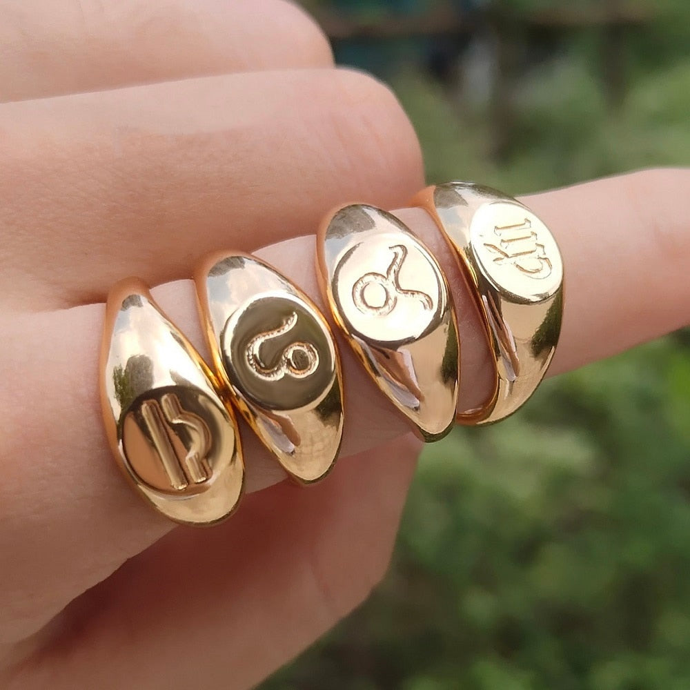 Zodiac stainless steel ring in gold and silver