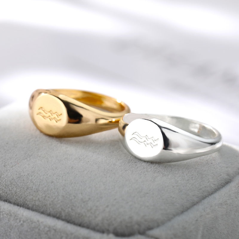 Zodiac stainless steel ring in gold and silver