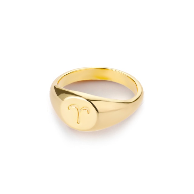 Zodiac stainless steel ring in gold and silver