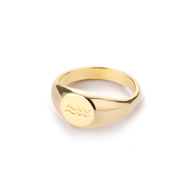 Zodiac stainless steel ring in gold and silver