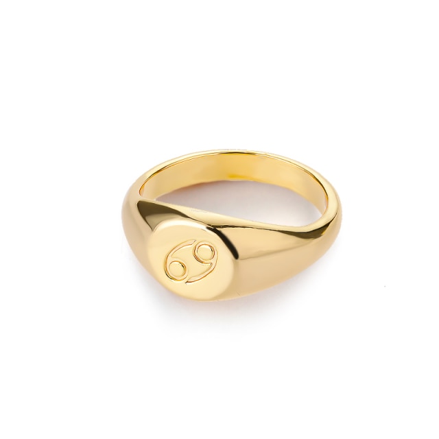 Zodiac stainless steel ring in gold and silver