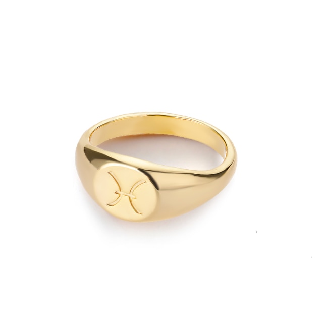 Zodiac stainless steel ring in gold and silver